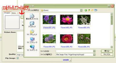 img4523807733f9e.jpeg